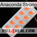 Anaconda Strong 26